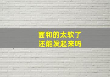 面和的太软了 还能发起来吗